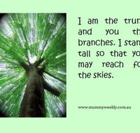 Mummy Weekly - Education WA