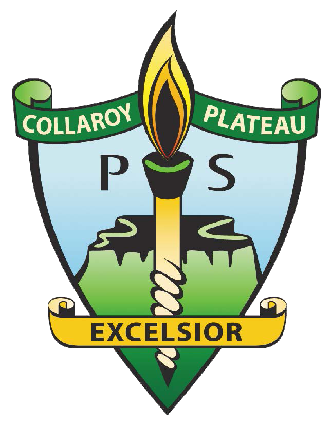 Collaroy Plateau NSW Education WA