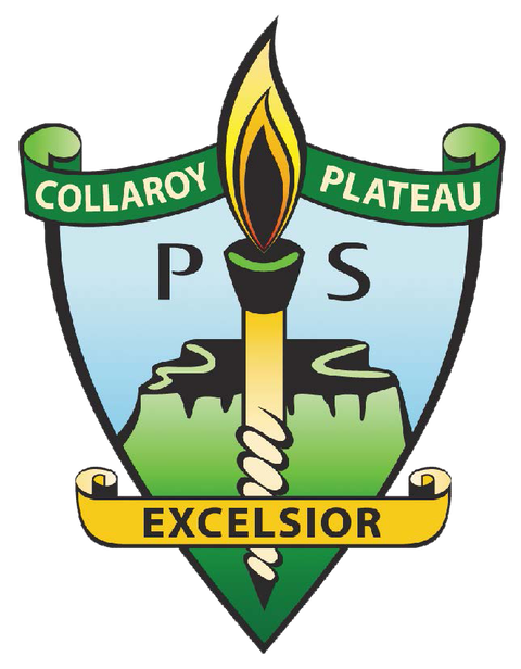 Collaroy Plateau Public School - Education WA 0