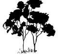 Samuel Gilbert Public School  - Education WA