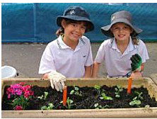 Galilee Catholic Primary School - Education WA 5