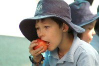 St Michael's Primary School Stanmore - Education WA 4