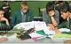 Parramatta Marist High Westmead - thumb 1