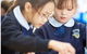 Our Lady Of The Rosary Primary Kellyville - thumb 3