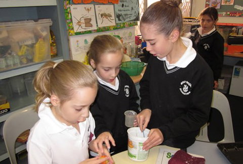 Holy Rosary School Doubleview - Education WA 2