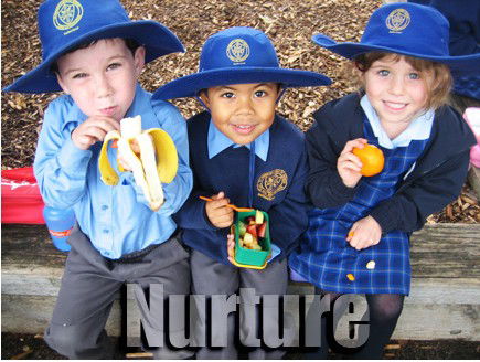 St Patrick's Primary School Sutherland - Education WA 3