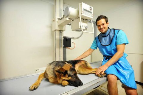 Pacific Vetcare - Education WA 0