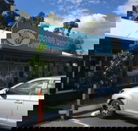 Moonee Beach Veterinary Surgery - Education WA