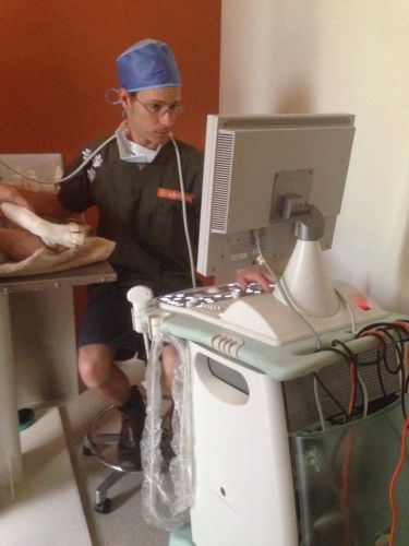 Pacific Vetcare - Education WA 1