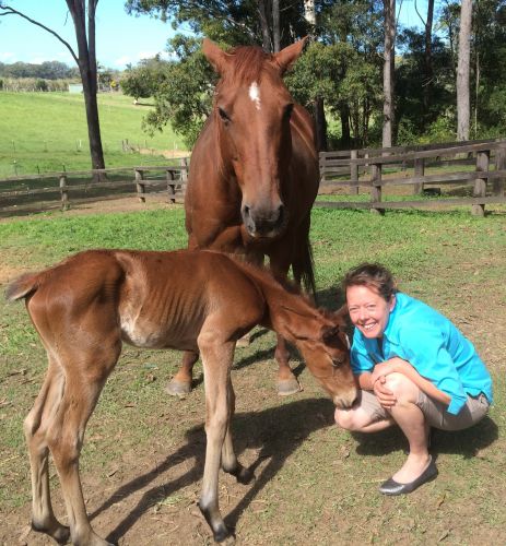 Pacific Vetcare - Education WA 5