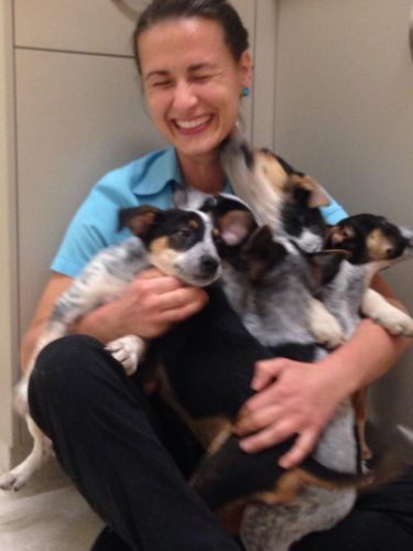 Pacific Vetcare - Education WA 7