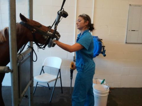 Pacific Vetcare - Education WA 9