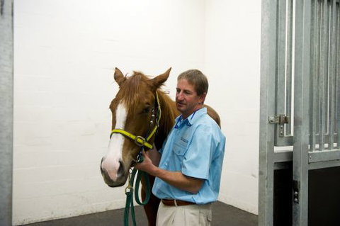 Pacific Vetcare - Education WA 2