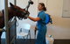 Pacific Vetcare - thumb 9