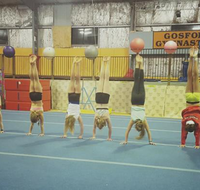 Gosford Gymnastics - Education WA