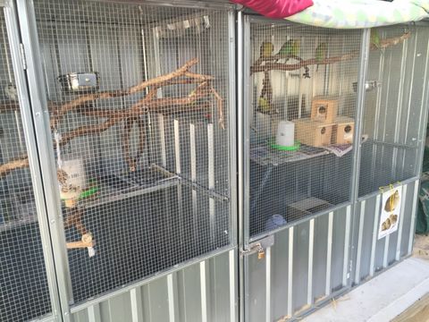 TLC Early Learning Centre - Education WA 0