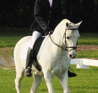 Encantador The Riding School - Education WA