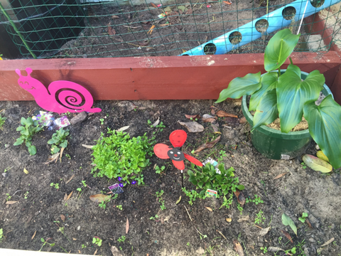 TLC Early Learning Centre - Education WA 3