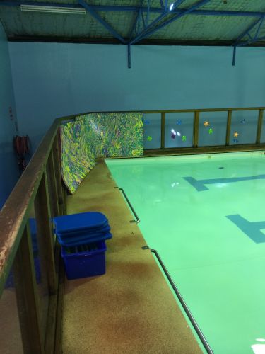 Shane Dowel’s Swim School - Education WA 1