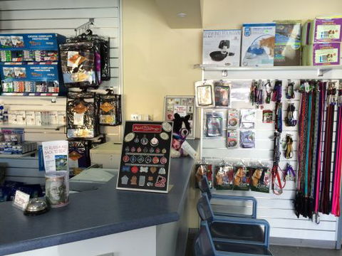 Albion Park Veterinary Hospital - Education WA 1