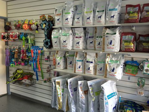 Albion Park Veterinary Hospital - Education WA 2
