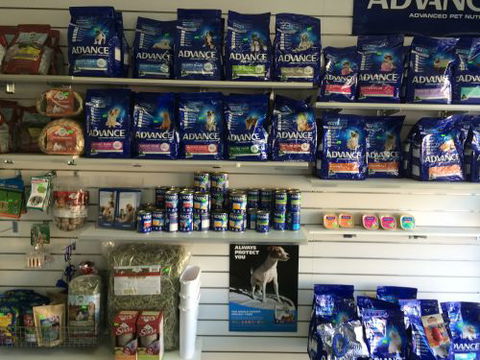 Albion Park Veterinary Hospital - Education WA 3