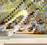 Good Shepherd Lutheran College NT - Education WA