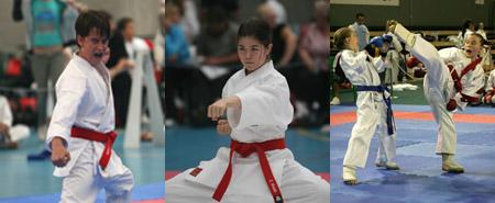 Matsumoto Karate Academy - Education WA 2