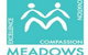 Meadows Primary School - thumb 0