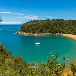 Tasman