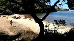 Deadly mystery unfolds as canoeists are found unresponsive after midnight trip Education WA