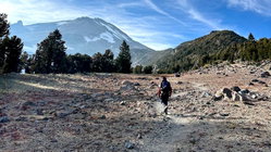 Mount Shasta climber recounts harrowing 500-foot slide, overnight crawl to safety: report Education WA