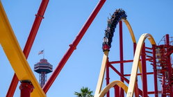 Popular amusement park bans guest for life after roller coaster stunt viral video Education WA