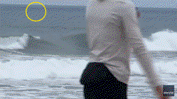 Shark Week shocker as great white breaches just yards from oblivious boogie boarder Education WA